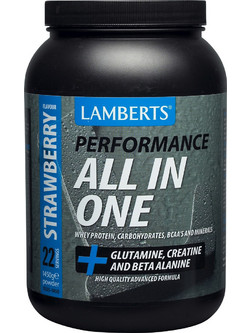 Lamberts Performance All In One Strawberry Πρωτεΐνη Ορού Γάλακτος 1.45kg