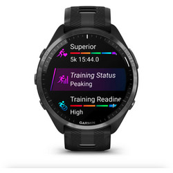 Garmin Forerunner 965 Black / Powder Grey