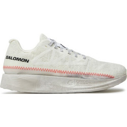 Salomon Index Ανδρικά Αθλητικά Παπούτσια για Τρέξιμο Λευκά L47377200