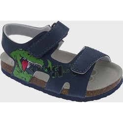 Chicco Francisco Παιδικά Πέδιλα για Αγόρι Navy Μπλε 71003-800