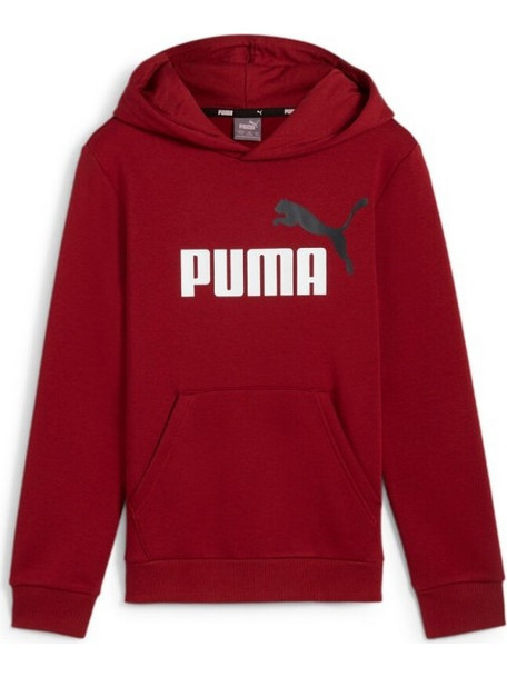 Puma Παιδικό Φούτερ με Κουκούλα Μπορντό 586987-13