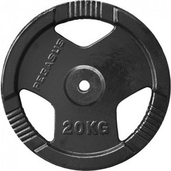Pegasus Δίσκος Μεταλλικός 20kg Φ29mm