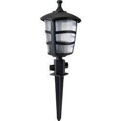 Globostar Zardin 203-0208
