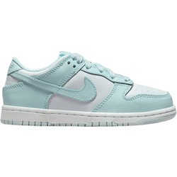 Nike Dunk Low Παιδικά Sneakers Λευκά Γαλάζια FB9108-105