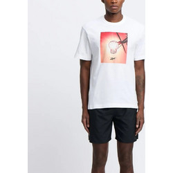 Reebok Graphic Series Basketball Sun Stare Tee Ανδρικό Αθλητικό T-Shirt Λευκό 100218826