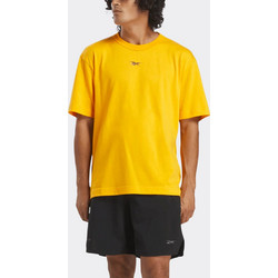 Reebok Ανδρικό Αθλητικό T-Shirt Κίτρινο 100214-894
