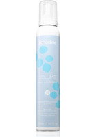 Leave In Conditioner
