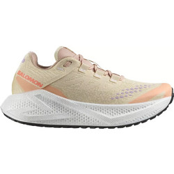 Salomon Aero Glide 3 Gravel Γυναικεία Αθλητικά Παπούτσια για Τρέξιμο Μπεζ L47812500