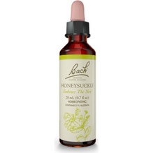 Power Health Bach Honeysuckle Ανθοΐαμα σε Σταγόνες για Νοσταλγία 20ml