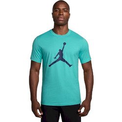 Jordan Jumpman Ανδρικό Αθλητικό T-Shirt Τιρκουάζ CJ0921-393