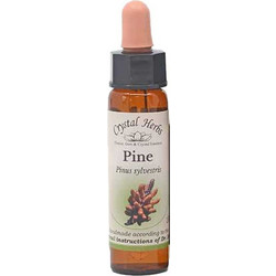 Crystal Herbs Pine Ανθοΐαμα σε Σταγόνες για Αυτοεκτίμηση 10ml