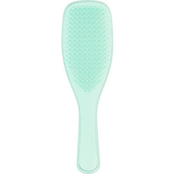 Tangle Teezer The Wet Detangler Βούρτσα Μαλλιών για Ξεμπέρδεμα & Βρεγμένα Μαλλιά Πράσινο Mint