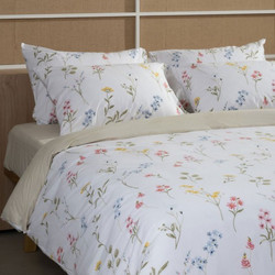 Sunshine Home Σετ Σεντόνια Υπέρδιπλα Βαμβακερά 235x270 Feelings 2062