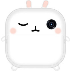 M2 Rabbit