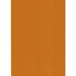 Canson Colorline Χαρτόνι Κανσόν Rusted 50x70cm 105741140