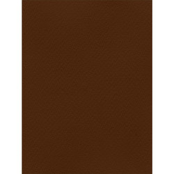Favini Χαρτόνι Κανσόν Καφέ 50x70cm 831.5070.13T