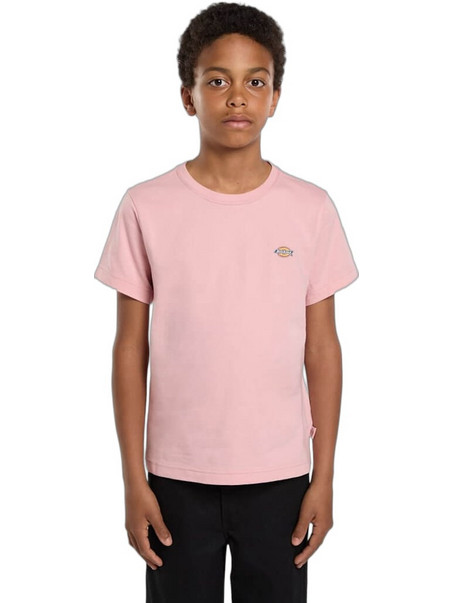 Dickies Παιδικό T-Shirt Κοντομάνικο Ροζ DK0KSR64-L471