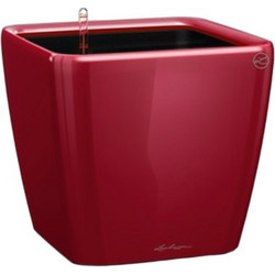 Lechuza Quadro 21 Ls Premium Αυτοποτιζόμενη Γλάστρα Εσωτερικού Χώρου Τετράγωνη Πλαστική Μπορντό 22.5x22.5x20.5cm 16127