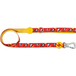 Dashi Dogtanian Λουρί Σκύλου 1.2m x 20mm Πολύχρωμο