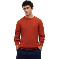 Tommy Hilfiger Ανδρική Πλεκτή Μπλούζα Rusted MW0MW42799