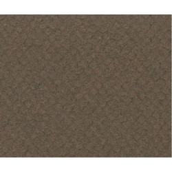 Canson Mi-Teintes Χαρτόνι Κανσόν Καφέ 50x65cm 105322501