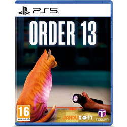 Order 13 PS5