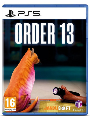 Order 13 PS5