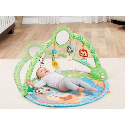 Little Tikes Sway N' Play Gym