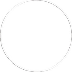 Στεφάνι Ρυθμικής Hula Hoop Amila HQ 70cm 280g Λευκό 98814