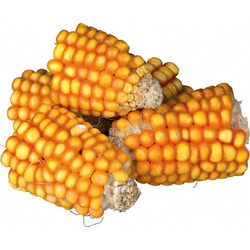 Trixie Corn 300gr