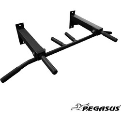 Pegasus B-1101