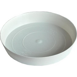 Πιατάκι INSCI Bianco
