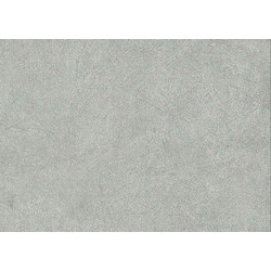 WALL PANEL SPC CONCRETE LIGHT 60577 60cm x 120cm