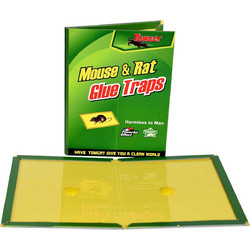 Agc Mouse & Rat Παγίδα με Κόλλα για Ποντίκια