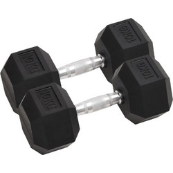 vidaXL 93604 2x20kg