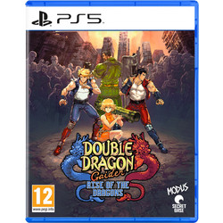 Double Dragon Gaiden Rise Of The Dragons PS5