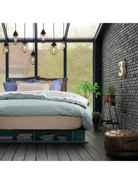 Das Home Σεντόνι Μονό Βαμβακερό με Λάστιχο 100x200+35 Best 1001