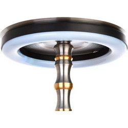 AO Led Ring Light 19cm