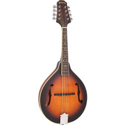PILGRIM VPMA-50AV Μαντολίνο