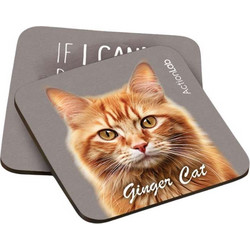 Action Lab Souver Ginger Cat 2pcs