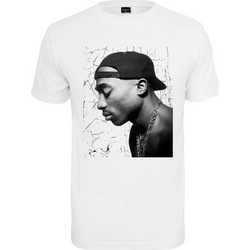 MISTER TEE Men Tupac Cracked Background Tee - WHITE - MT1686-00220
