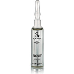 Paul Mitchell Awapuhi Wild Ginger Keratriplex Treatment 10 x 10 ml