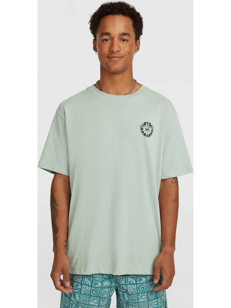 O'NEILL Slub Back Print T-shirt (2850350-16061M)