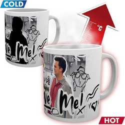 Pyramid Friends You Love Me Mug