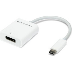 OWC Μετατροπέας USB-C male σε DisplayPort female Λευκό 1τμχ NWTADPTCDP14