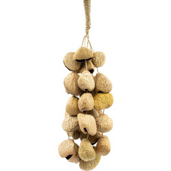 Medium Pangi Seed Shell - Natural Nut Shaker (30 Shells)
