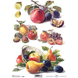 Ριζόχαρτο fruits 21x29εκ. (ITD-R397)